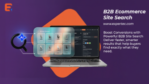 B2B ecommerce site search