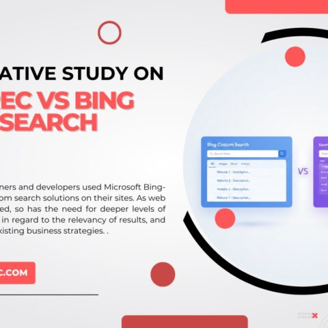 Bing Custom Search or Expertrec Site Search